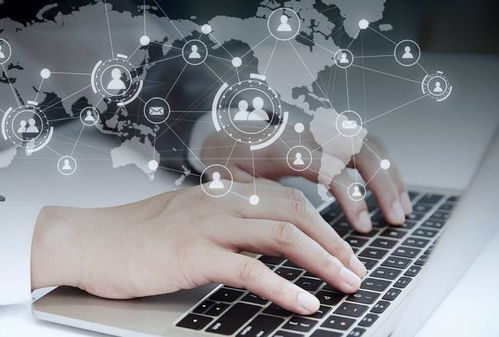 盤點(diǎn)大學(xué)里認(rèn)可度高的三本證書 大一新生必讀指南與實(shí)用工具推薦